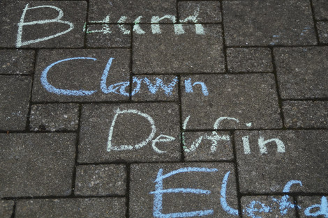 mit Kreide sind die Worte Baum, Clown, Delfin und Elefant auf die Pflastersteine geschrieben